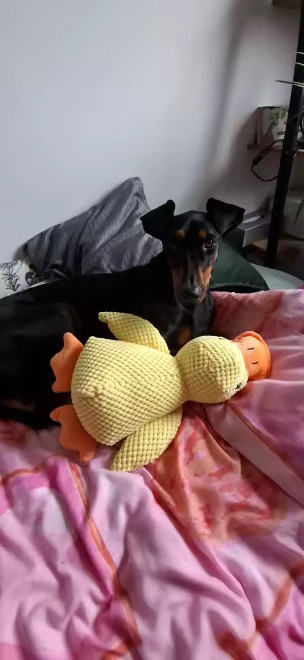 Angela